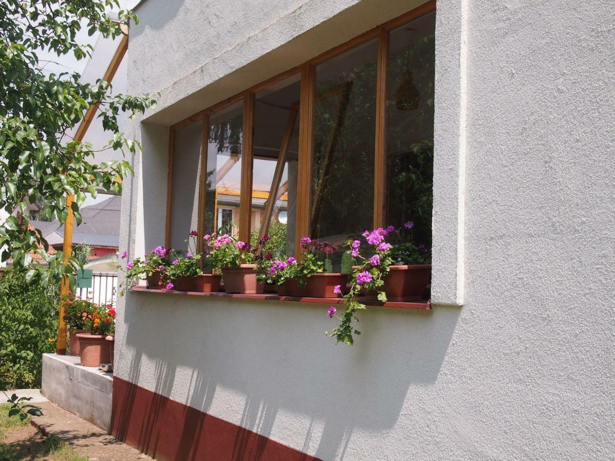 DéeL apartman Nyíregyháza Esterno foto